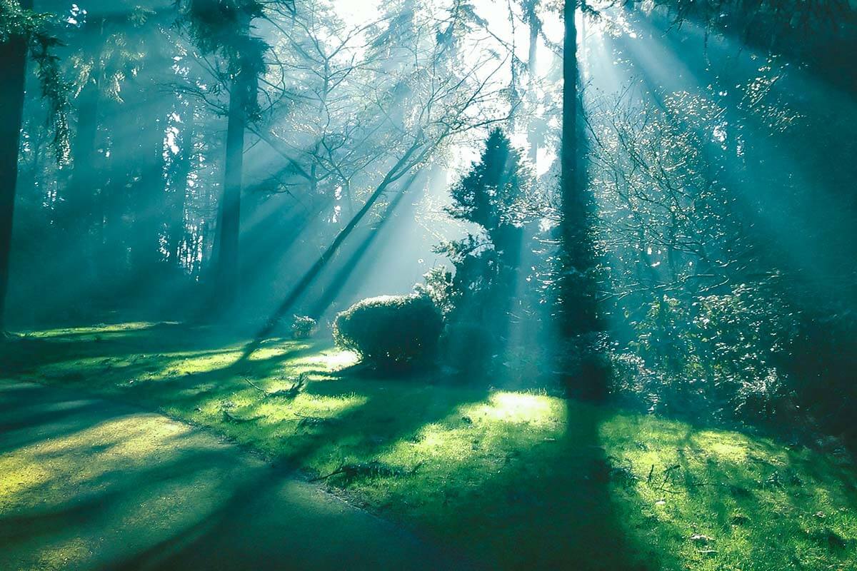 home_eco_blog5 home_eco_blog5